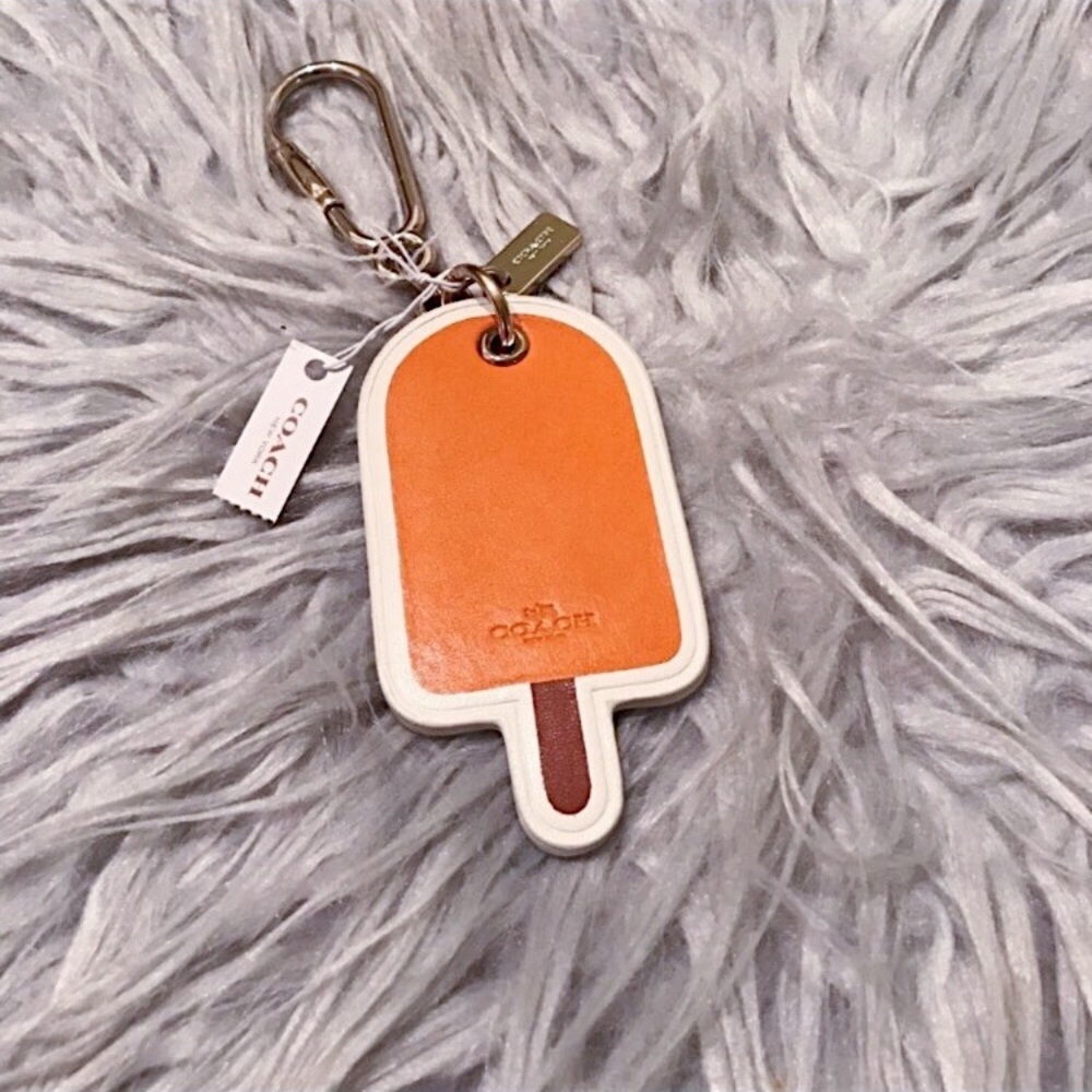 NWT COACH popsicle key chain